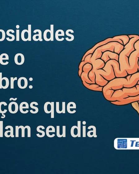 Curiosidades sobre o cérebro: 10 ações que moldam seu dia - Canal Tech